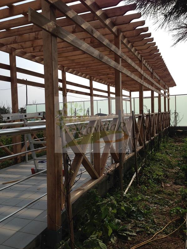 Ahşap Pergola
